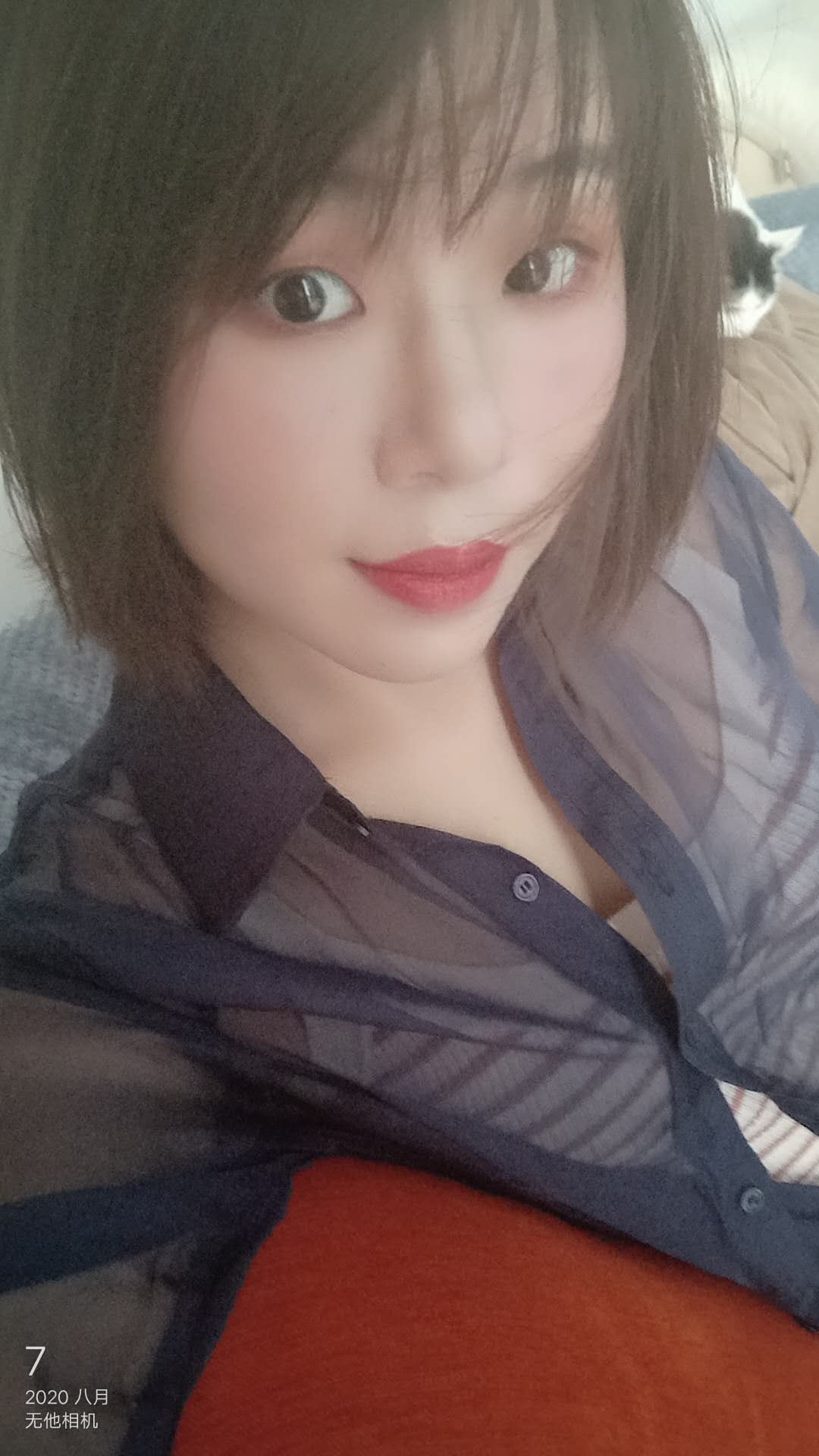 番禺小家碧玉良家